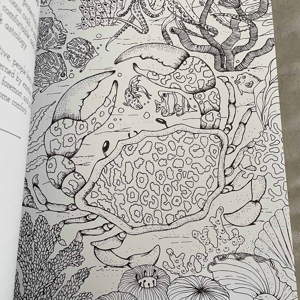 Astrology Coloring Book - Picture 4 of 6